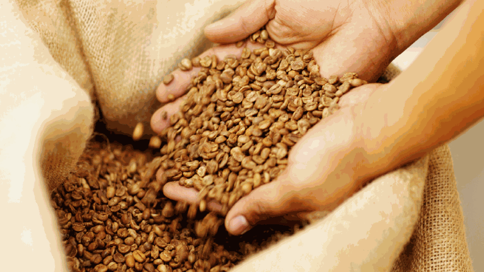 Odoo • Imagen y texto