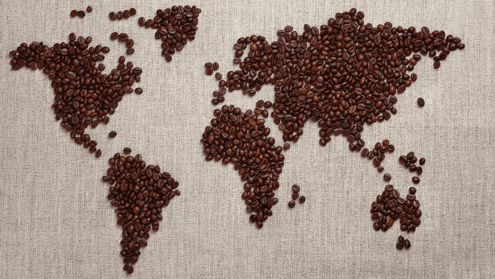 Odoo • Imagen y texto